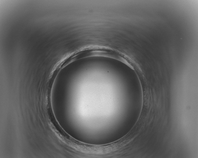 X0000080150015200612151842