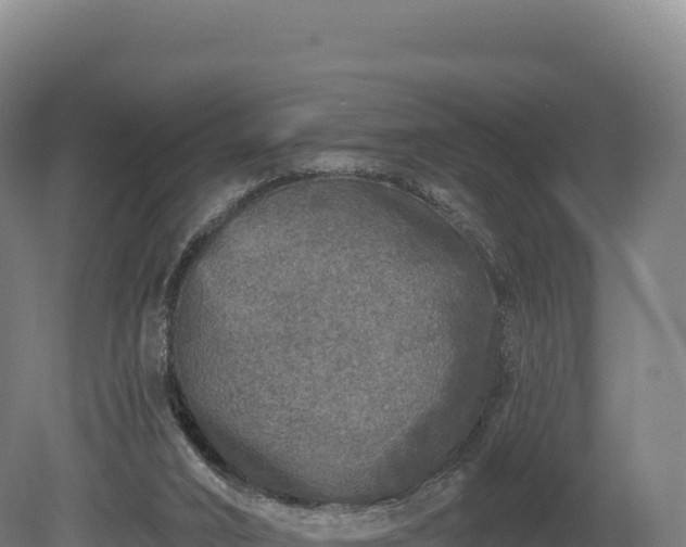 X0000080150016200612151842