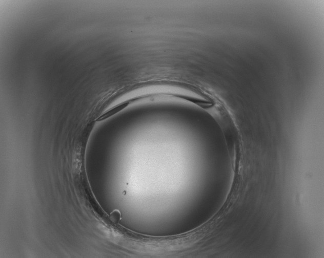 X0000080150017200612151842