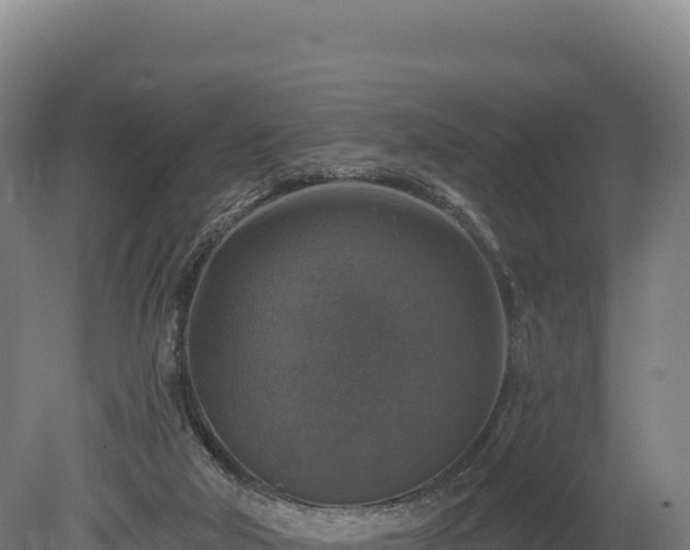 X0000080150018200612151842