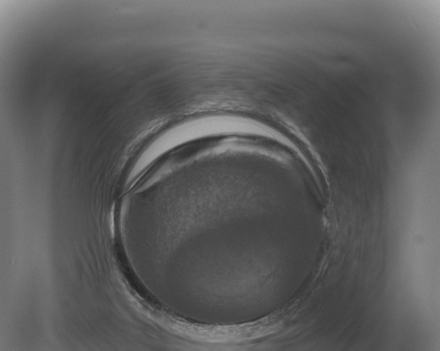 X0000080150019200612151842