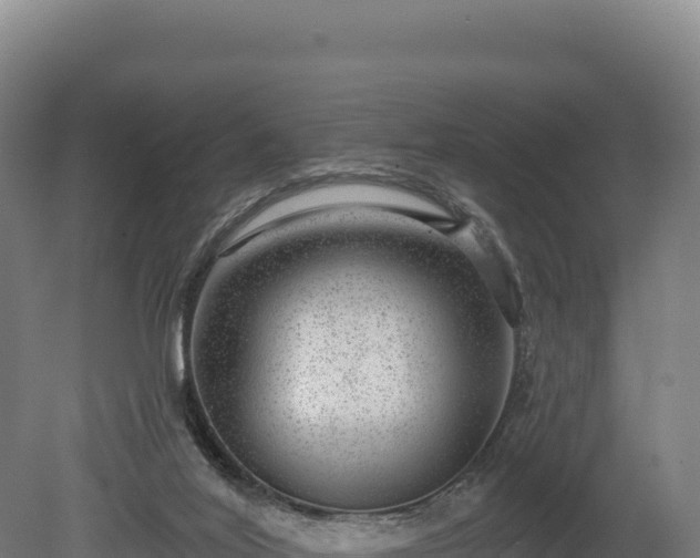 X0000080150020200612151842