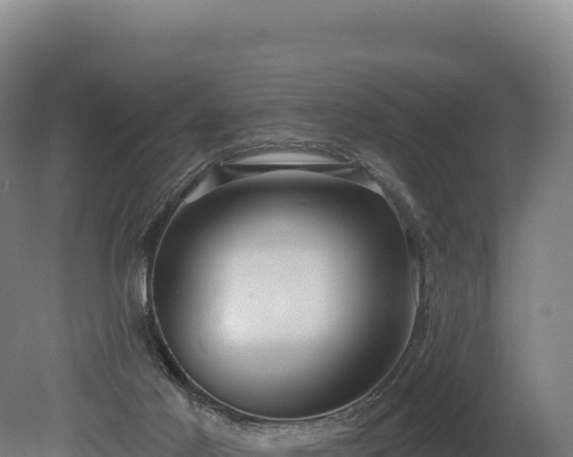 X0000080150021200612151842