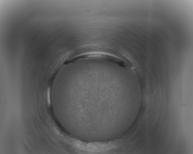 X0000080150022200612151842