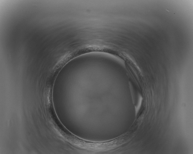 X0000080150023200612151842