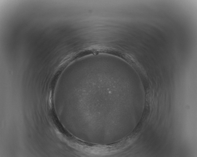 X0000080150024200612151842