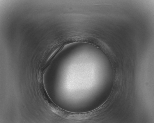 X0000080150025200612151842