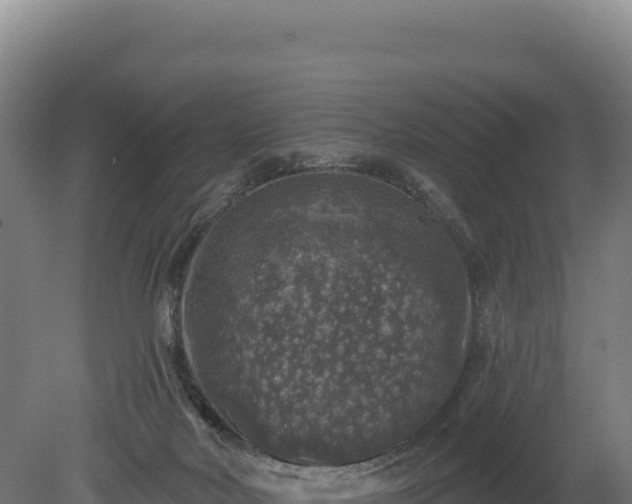 X0000080150026200612151842