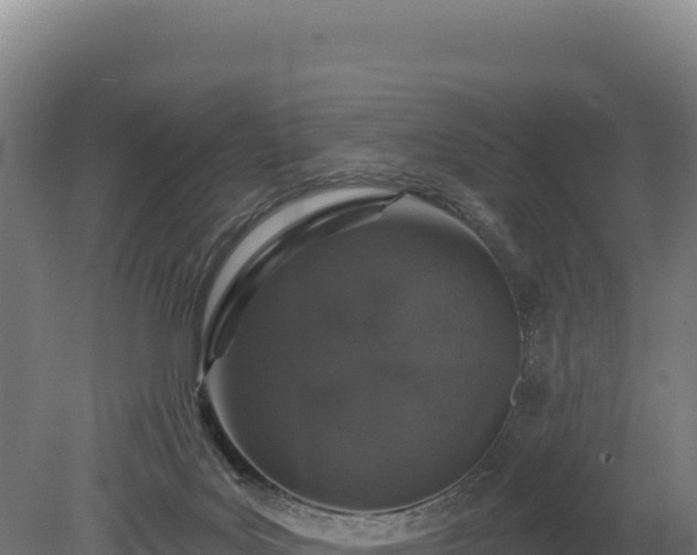 X0000080150027200612151842