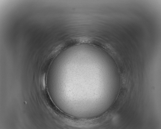 X0000080150028200612151842