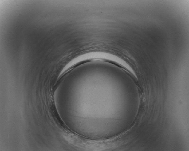 X0000080150029200612151842