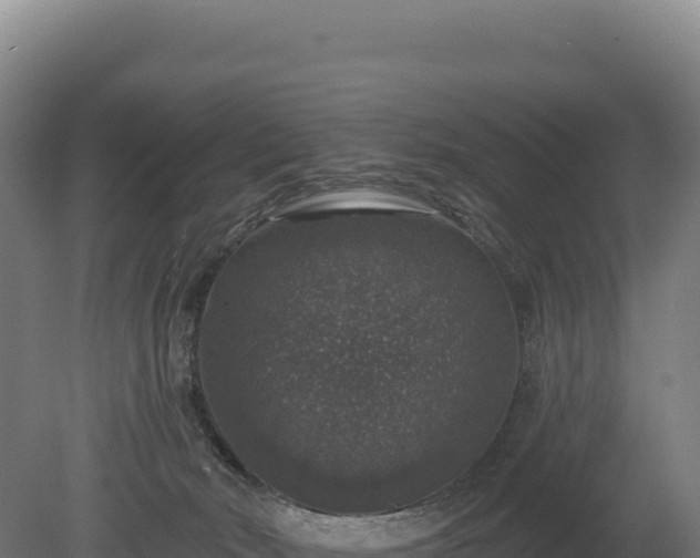 X0000080150030200612151842