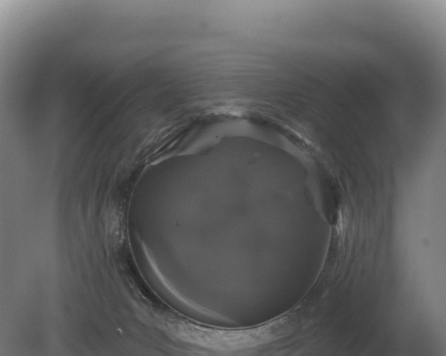 X0000080150031200612151842