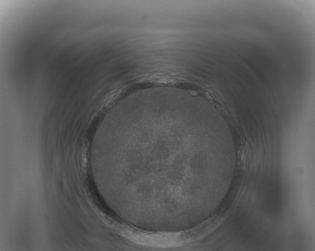 X0000080150032200612151842