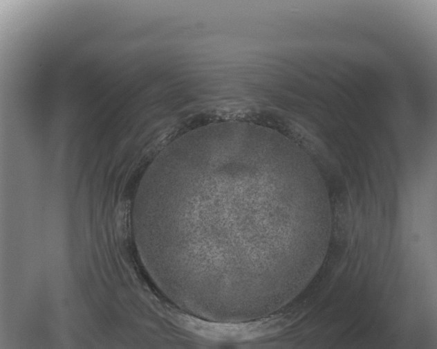 X0000080150034200612151841