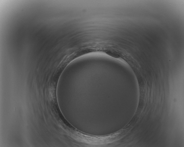 X0000080150035200612151841