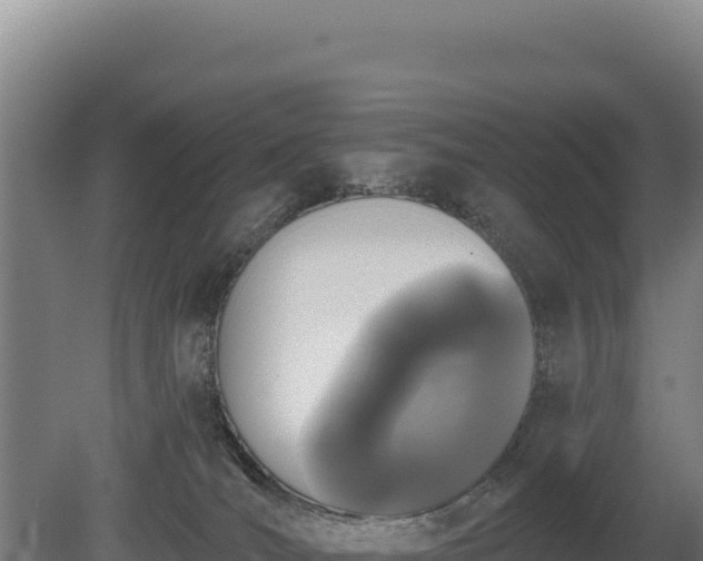 X0000080150036200612151841