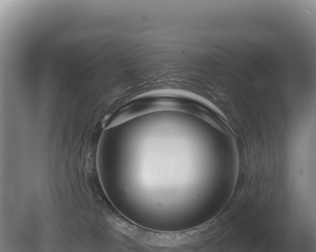 X0000080150037200612151841