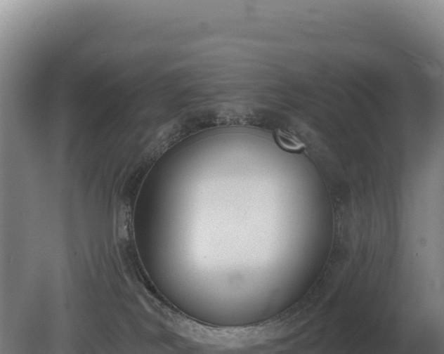 X0000080150038200612151841