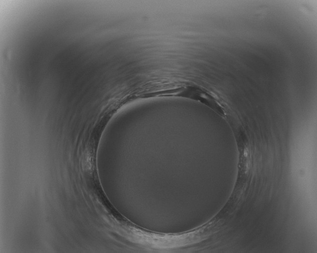 X0000080150039200612151841