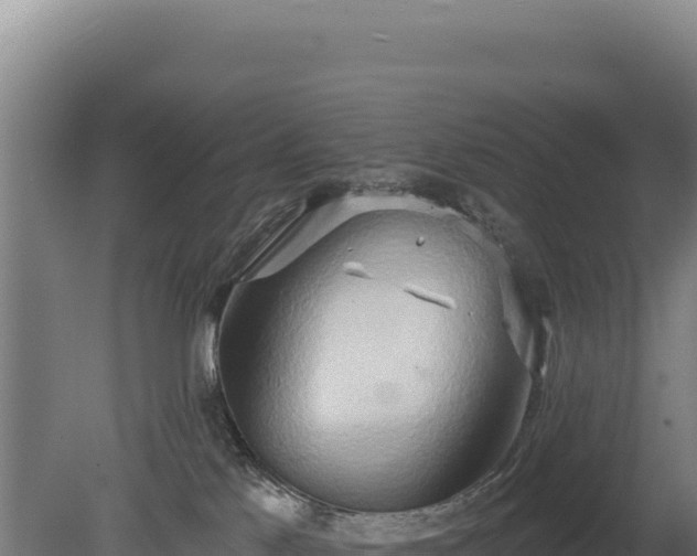 X0000080150041200612151841