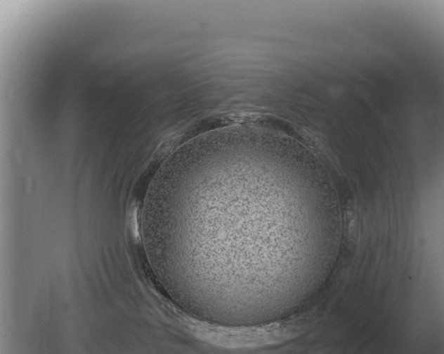 X0000080150042200612151841