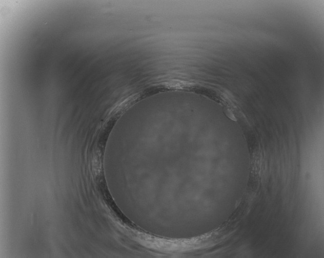 X0000080150043200612151841