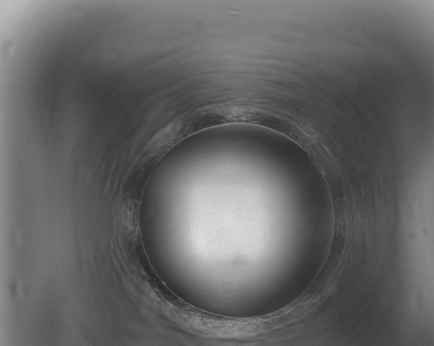 X0000080150044200612151841