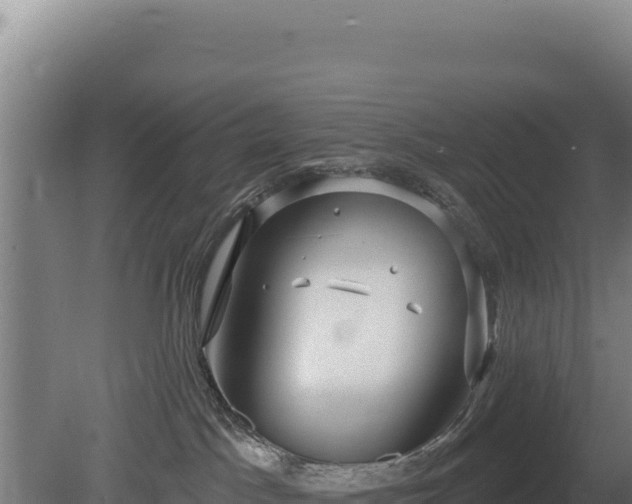 X0000080150045200612151841