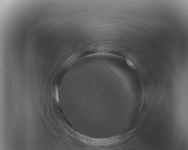 X0000080150046200612151841