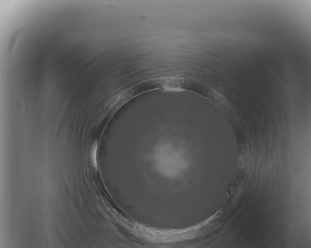 X0000080150047200612151841