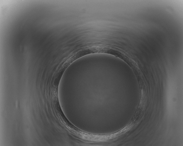 X0000080150048200612151841