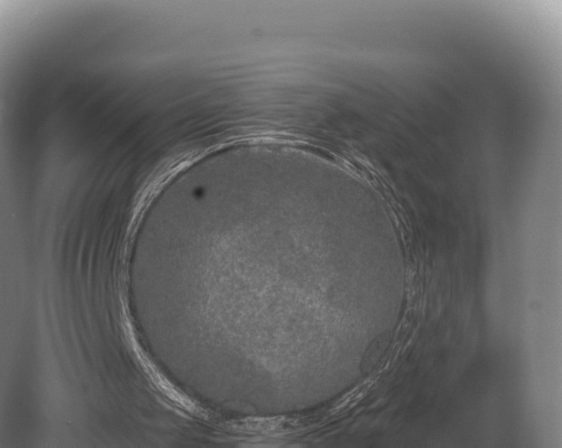 X0000080150049200612151840