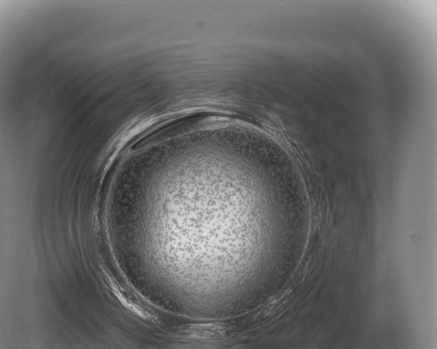 X0000080150050200612151840