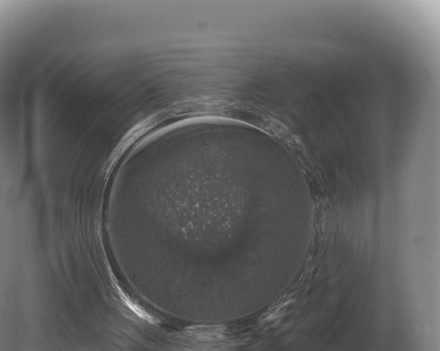 X0000080150051200612151840