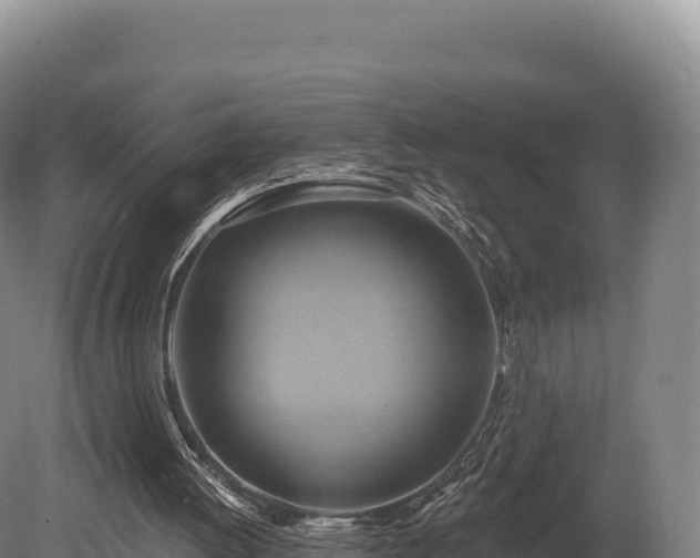 X0000080150052200612151840