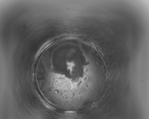 X0000080150053200612151840