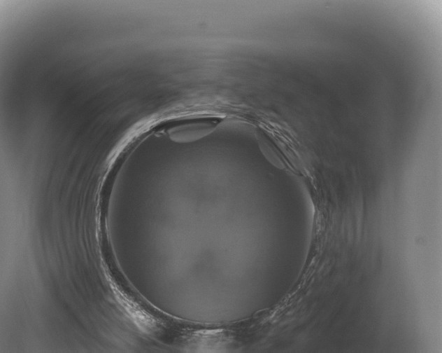 X0000080150054200612151841