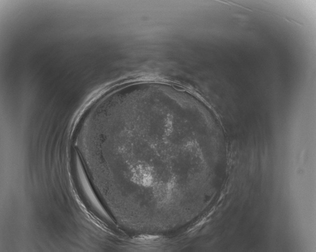 X0000080150055200612151841