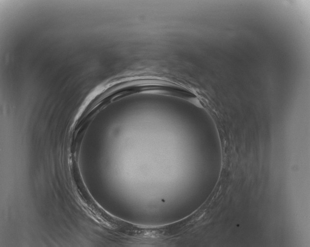 X0000080150056200612151841