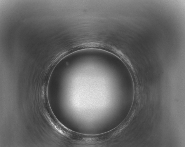 X0000080150057200612151841