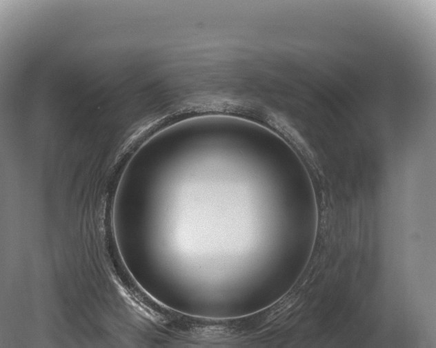 X0000080150058200612151841