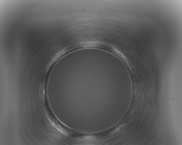 X0000080150059200612151841