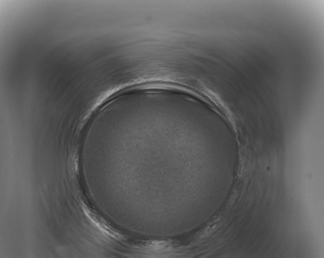 X0000080150060200612151841