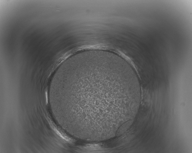 X0000080150061200612151841