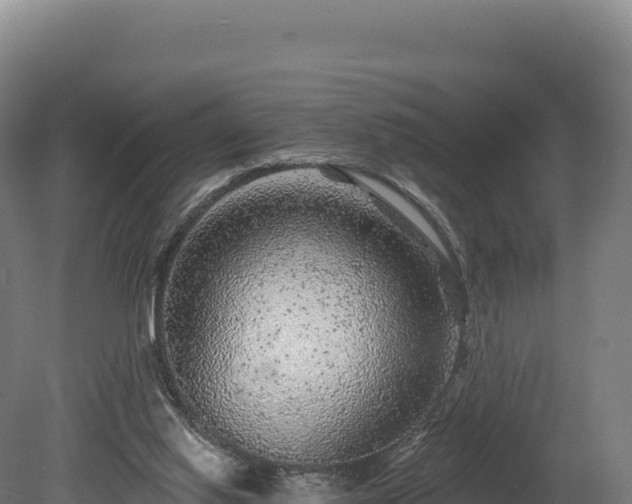 X0000080150062200612151841