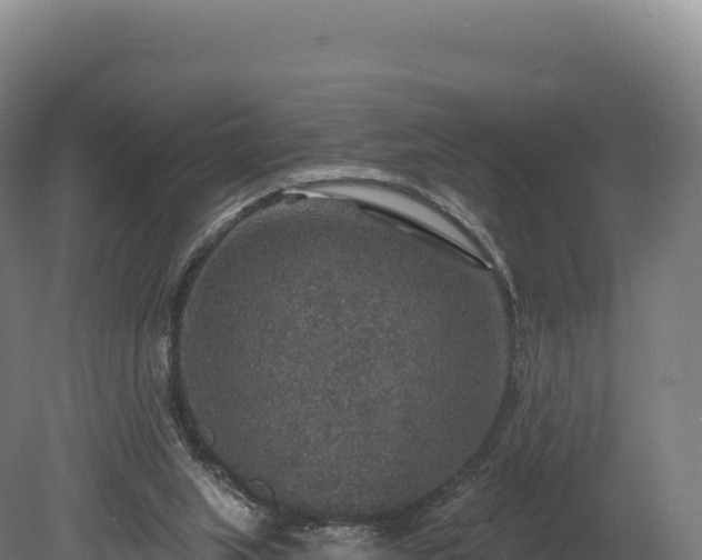 X0000080150063200612151841