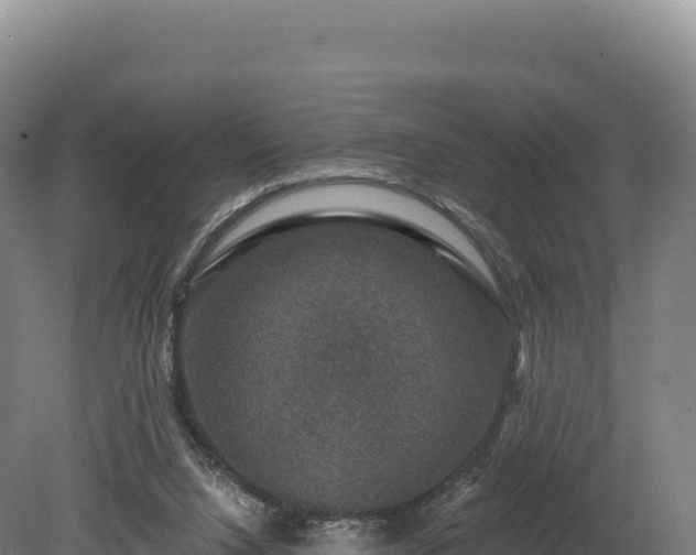 X0000080150064200612151841