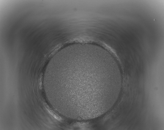 X0000080150065200612151841