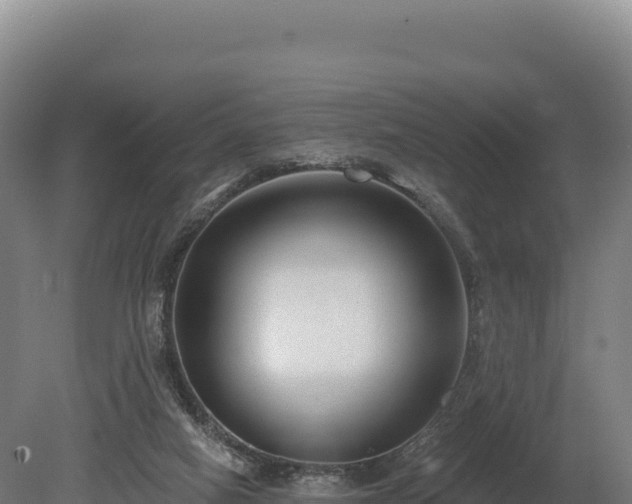 X0000080150066200612151841